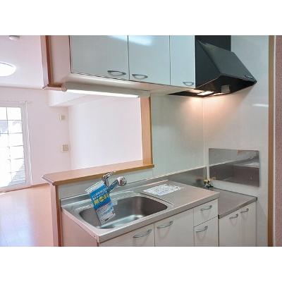 サンタクルス　Ａ 103【管理NO：1-014902501-01030】 ★家具家電は申し込み後に搬入しますの物件写真3