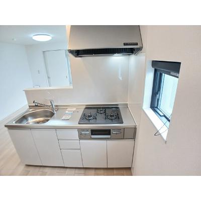 ｓｕｍｉｋａｗａ 207【管理NO：1-028527901-02070】 ★家具家電は申し込み後に搬入しますの物件写真3