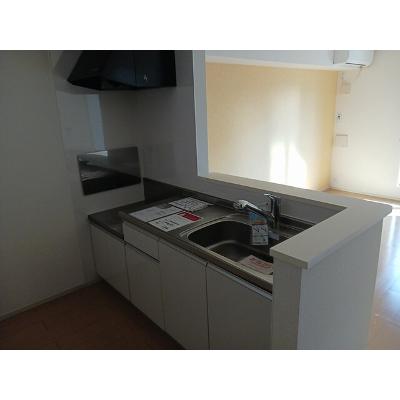 シャトー・ル・ブラン 202【管理NO：1-018056001-02020】 ★家具家電は申し込み後に搬入しますの物件写真3