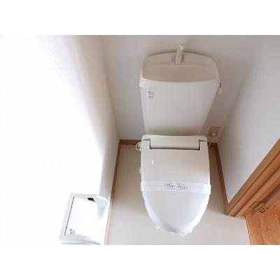柏 202【管理NO：1-012383301-02020】 ★家具家電は申し込み後に搬入しますの物件写真5