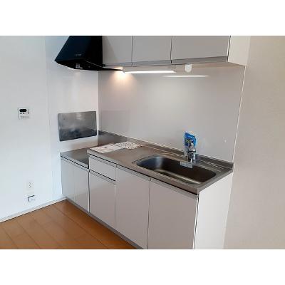 ル　ラフィーネ 203【管理NO：1-018088701-02030】 ★家具家電は申し込み後に搬入しますの物件写真3