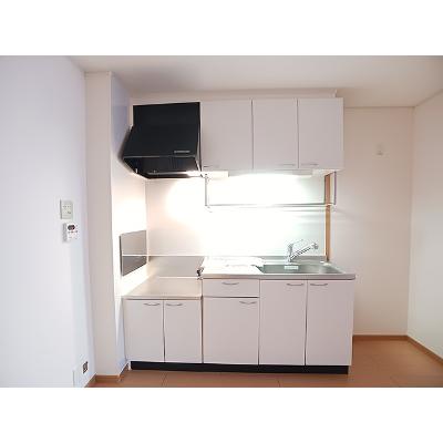 カメリアコート 102【管理NO：1-014689501-01020】 ★家具家電は申し込み後に搬入します★の物件写真3