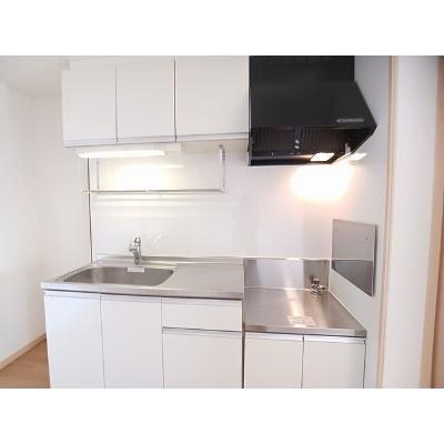 ニューマリッチ愛 303【管理NO：1-003877701-03030】 ★家具家電は申し込み後に搬入しますの物件写真3
