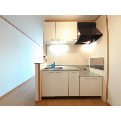 サニーパティオⅡ 201【管理NO：1-014148501-02010】 ★家具家電は申し込み後に搬入します★の物件写真3