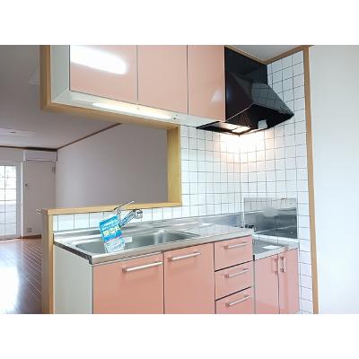 プルミエ・アムールⅢ 101【管理NO：1-012435201-01010】 ★家具家電は申し込み後に搬入します★の物件写真3