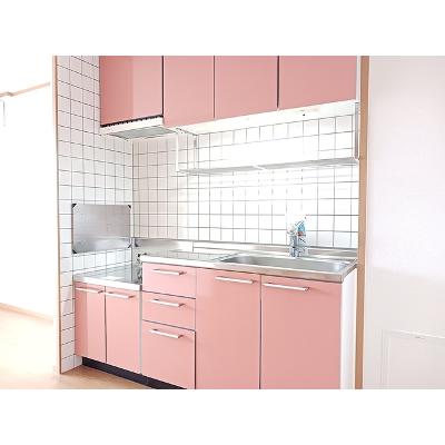 セトルⅠ 202【管理NO：1-011873401-02020】 ★家具家電は申し込み後に搬入しますの物件写真3