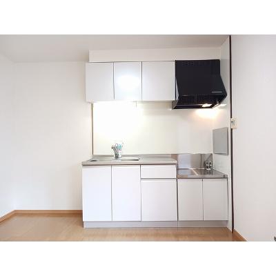 ライジングサンＢ 204【管理NO：1-007089502-02040】 ★家具家電は申し込み後に搬入します★の物件写真3