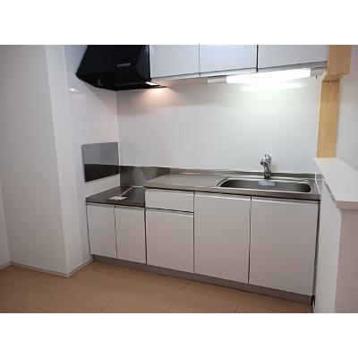 フェリス 205【管理NO：1-019857401-02050】 ★家具家電は申し込み後に搬入しますの物件写真3