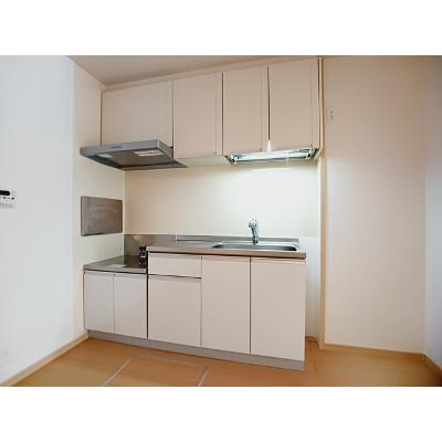 ボニートビオラⅢ 101【管理NO：1-016293601-01010】 ★家具家電は申し込み後に搬入しますの物件写真3