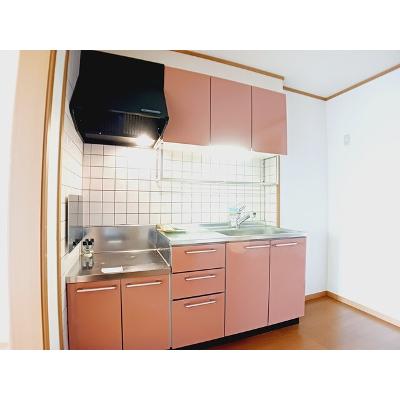 ピュアランドⅢ 101【管理NO：1-011177603-01010】 ★家具家電は申し込み後に搬入します★の物件写真3