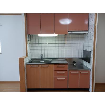 ヴィラ・アヴェニュー　Ⅳ 201【管理NO：1-012518001-02010】 ★家具家電は申し込み後に搬入しますの物件写真3