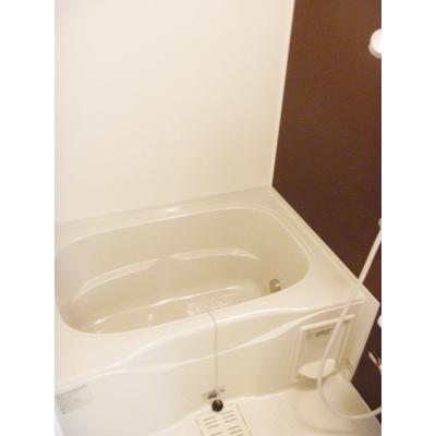 ベルプレーヌ 101【管理NO：1-019349801-01010】 2026年07月下旬入居可能の物件写真4