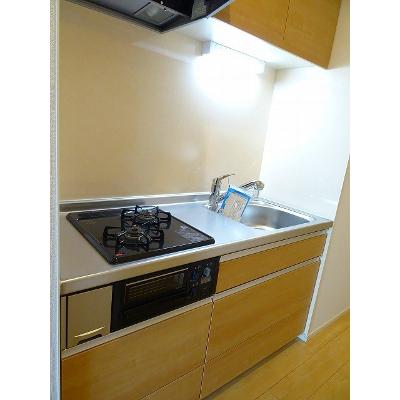 サラスバティⅡ 301【管理NO：1-021734501-03010】 ★家具家電は申し込み後に搬入しますの物件写真3