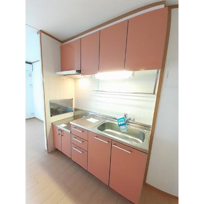 グラウクスⅡ 204【管理NO：1-009847502-02040】 ★家具家電は申し込み後に搬入します 2026年09月中旬入居可能の物件写真3