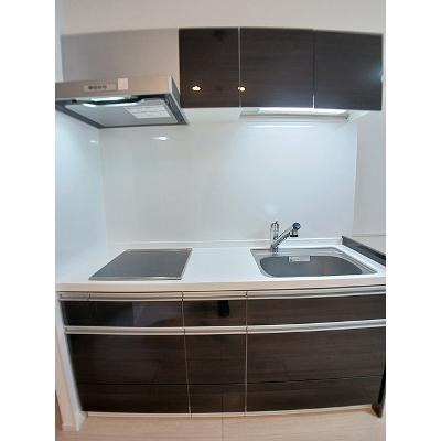 ＣＲＥＶＡＮＣＥ亀戸 303【管理NO：1-027680301-03030】 ★家具家電は申し込み後に搬入しますの物件写真3