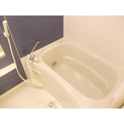 ウエルス 102【管理NO：1-018163701-01020】 2026年07月中旬入居可能の物件写真4