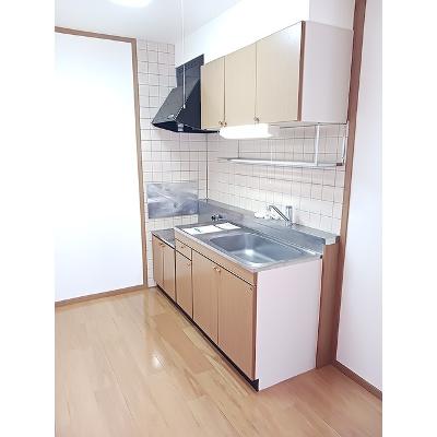 エレガントマーシュ 203【管理NO：1-010049301-02030】 ★家具家電は申し込み後に搬入しますの物件写真3