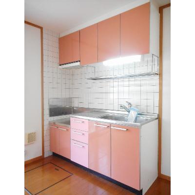 オルテンシア５１０ 101【管理NO：1-012126901-01010】 ★家具家電は申し込み後に搬入しますの物件写真3