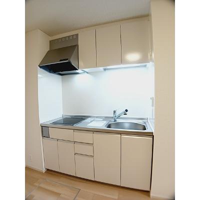 フレスクーラ 103【管理NO：1-028444301-01030】 ★家具家電は申し込み後に搬入しますの物件写真3