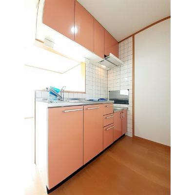 サザンクロス 205【管理NO：1-012693101-02040】 ★家具家電は申し込み後に搬入します 2026年07月下旬入居可能の物件写真3