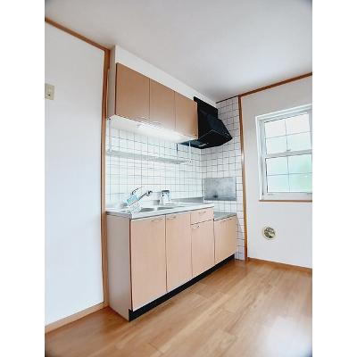 フォンターナ　サノＢ 203【管理NO：1-011933202-02030】 ★家具家電は申し込み後に搬入しますの物件写真3