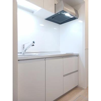 ゴールドリング船越南 103【管理NO：1-027861801-01030】 ★家具家電は申し込み後に搬入しますの物件写真3