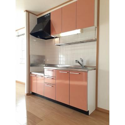 フィオーレⅠ 201【管理NO：1-012593801-02010】 ★家具家電は申し込み後に搬入しますの物件写真3