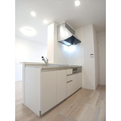 ラフィーネＫⅢ 103【管理NO：1-028552201-01030】 ★家具家電は申し込み後に搬入しますの物件写真3
