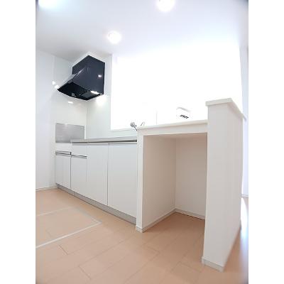 ラーナ 102【管理NO：1-020793801-01020】 ★家具家電は申し込み後に搬入しますの物件写真3