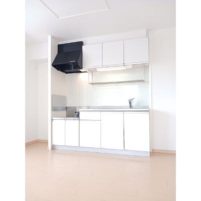 ヒーリング　ハート 201【管理NO：1-016511101-02010】 ★家具家電は申し込み後に搬入しますの物件写真3
