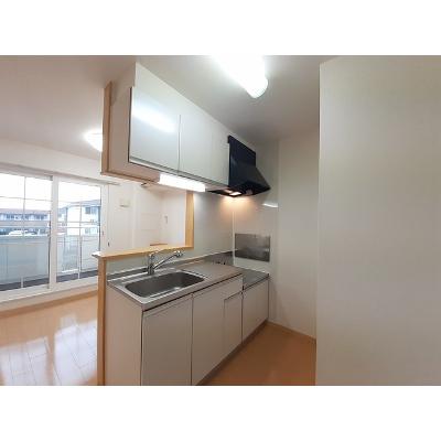 セレノ　パラッツオ 202【管理NO：1-016364301-02020】 2026年07月中旬入居可能の物件写真3