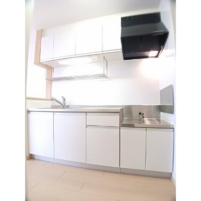プラシード 202【管理NO：1-015908101-02020】 ★家具家電は申し込み後に搬入しますの物件写真3