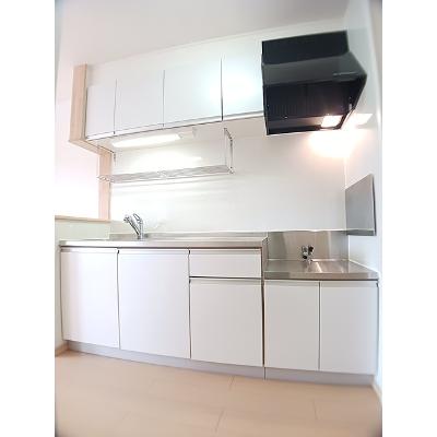 エクセレント　アベリア 201【管理NO：1-015859701-02010】 ★家具家電は申し込み後に搬入しますの物件写真3
