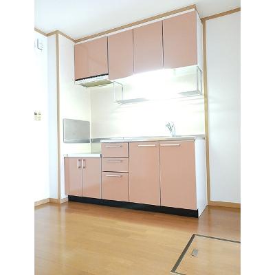 ファレノプシスＣ 102【管理NO：1-013116801-01020】 ★家具家電は申し込み後に搬入します★の物件写真3