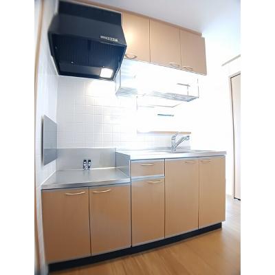 オーシャンブルーＢ 201【管理NO：1-012059801-02010】 ★家具家電は申し込み後に搬入します★の物件写真3