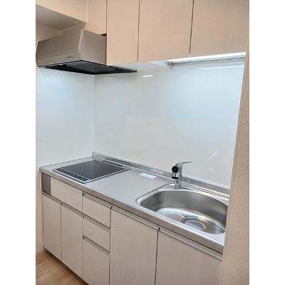 フェリスⅤ 201【管理NO：1-028213201-02010】 ★家具家電は申し込み後に搬入します★の物件写真3