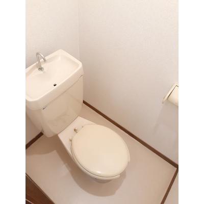 メゾンＣＥＬＩＮＥ 107【管理NO：1-001697901-01060】 ★家具家電は申し込み後に搬入します 2026年08月上旬入居可能の物件写真5