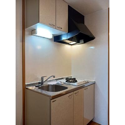 ラフィーネＦ 303【管理NO：1-013300401-03030】 2026年07月上旬入居可能の物件写真3