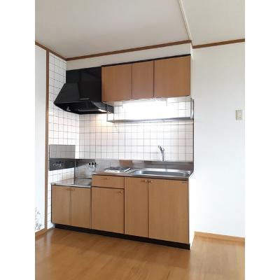 ニュークレストール内藤 201【管理NO：1-009426701-02010】 ★家具家電は申し込み後に搬入します★の物件写真3