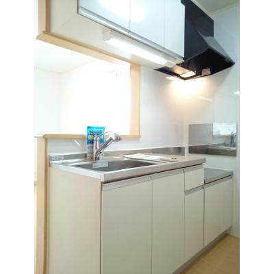 アルドーレⅡ 205【管理NO：1-016245301-02040】 ★家具家電は申し込み後に搬入しますの物件写真3