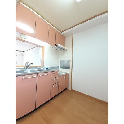 プラシード 102【管理NO：1-013110201-01020】 ★家具家電は申し込み後に搬入します 2026年07月下旬入居可能の物件写真3
