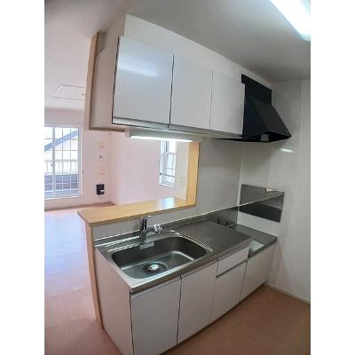 スターリースカイ 203【管理NO：1-020160201-02030】 ★家具家電は申し込み後に搬入します★の物件写真3