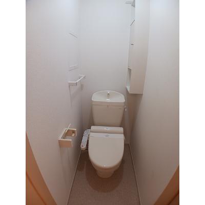 スターリースカイ 203【管理NO：1-020160201-02030】 ★家具家電は申し込み後に搬入します★の物件写真5