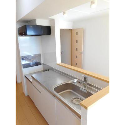 アイランド花月　Ⅲ 302【管理NO：1-018846302-03020】 ★家具家電は申し込み後に搬入しますの物件写真3