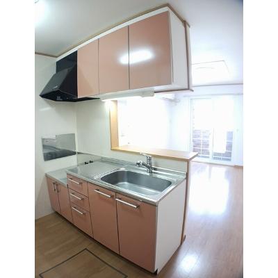 ヴィラ・アブリコ 102【管理NO：1-013628001-01020】 ★家具家電は申し込み後に搬入します★の物件写真3