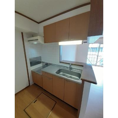 ドルフ・サンフラワー 102【管理NO：1-011729001-01020】 ★家具家電は申し込み後に搬入します★の物件写真3