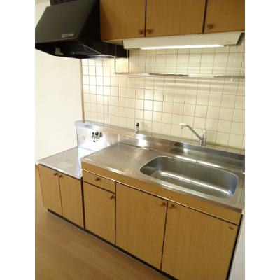 ＬＩＺＥ緑ヶ丘 303【管理NO：1-007376401-03030】 ★家具家電は申し込み後に搬入しますの物件写真3