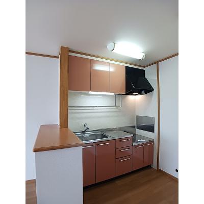 シンシア 205【管理NO：1-012673001-02040】 ★家具家電は申し込み後に搬入します 2026年07月下旬入居可能の物件写真3