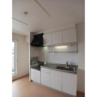 ライグッド　Ⅰ 202【管理NO：1-017103201-02020】 ★家具家電は申し込み後に搬入しますの物件写真3
