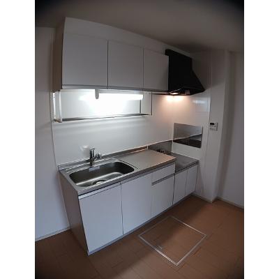 シャローム 103【管理NO：1-017613201-01030】 ★家具家電は申し込み後に搬入しますの物件写真3